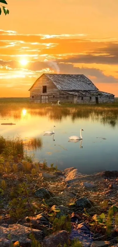 Sunset over a serene lake with a barn and swans, calming mobile wallpaper.