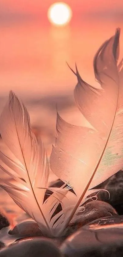 Serene feather on pebbles at sunset with warm peach hues.