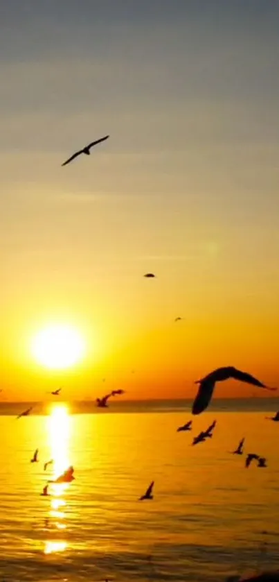 Sunset over ocean with birds flying in vibrant orange sky.