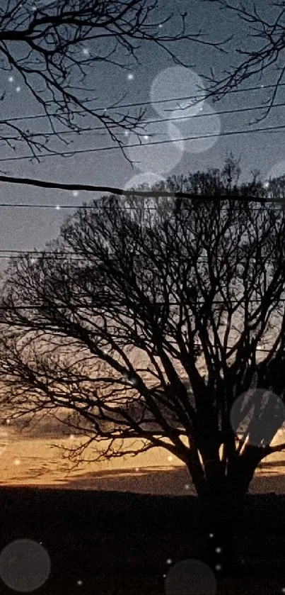 Silhouette of a tree against a sunset sky, perfect for mobile wallpaper.