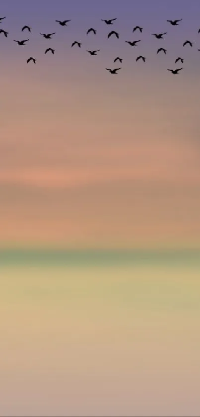 Solitary tree and birds at sunset over calm waters.