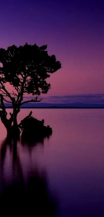 Solitary tree reflecting in calm waters under a purple twilight sky.