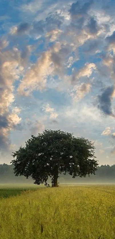 Serene landscape with a lone tree and vibrant sky.