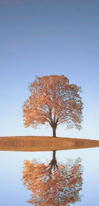 Serene mobile wallpaper of a tree reflected in water under a starry sky.