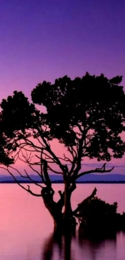 Silhouetted tree against a purple sunset reflected on water.