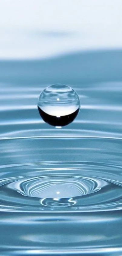 Calming water droplet ripple on blue surface wallpaper.