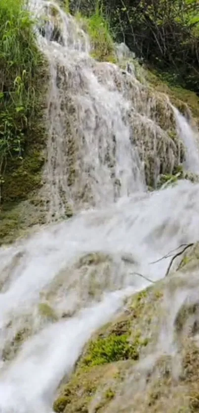 Serene waterfall in lush green setting