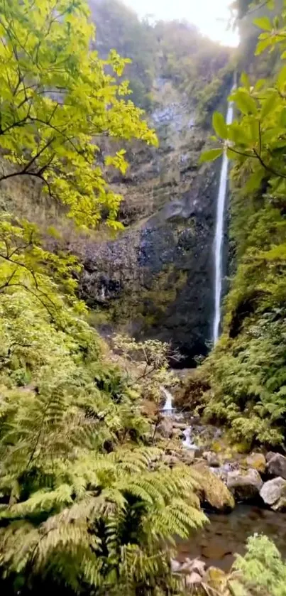 Tranquil waterfall in a lush green forest setting mobile wallpaper.