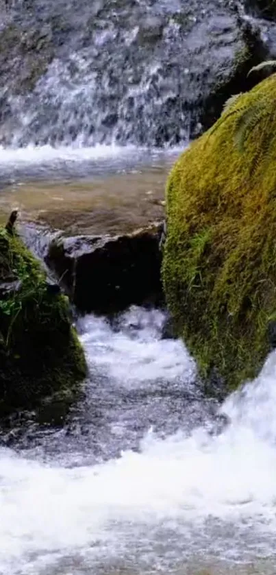 Serene waterfall with lush greenery, perfect for tranquility.