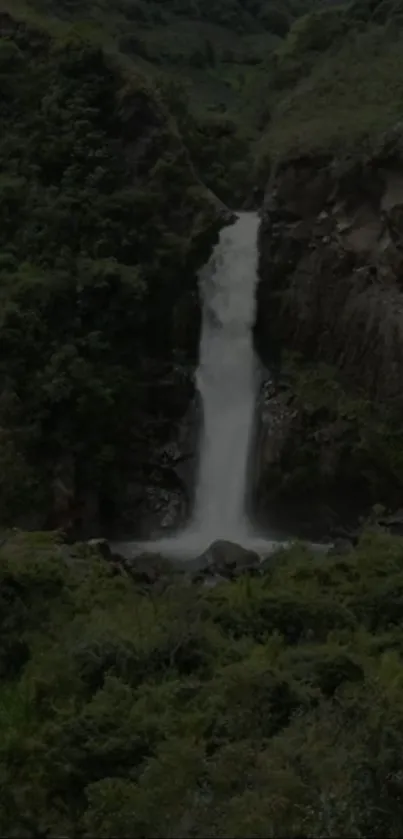 Beautiful waterfall cascading through lush green forest.