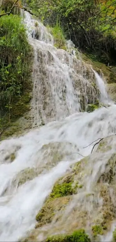 Serene waterfall in lush green forest wallpaper.