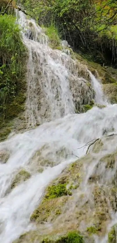 Serene waterfall with lush greenery mobile wallpaper.