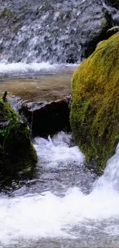 Serene waterfall stream with mossy rocks.