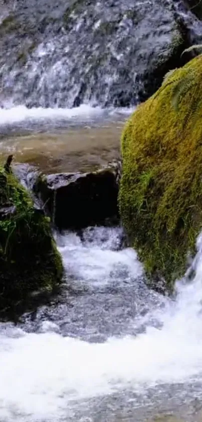 Serene waterfall stream with lush green moss and flowing water.