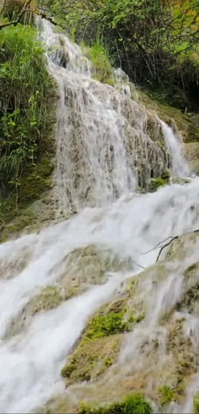 Serene waterfall amidst lush green nature.