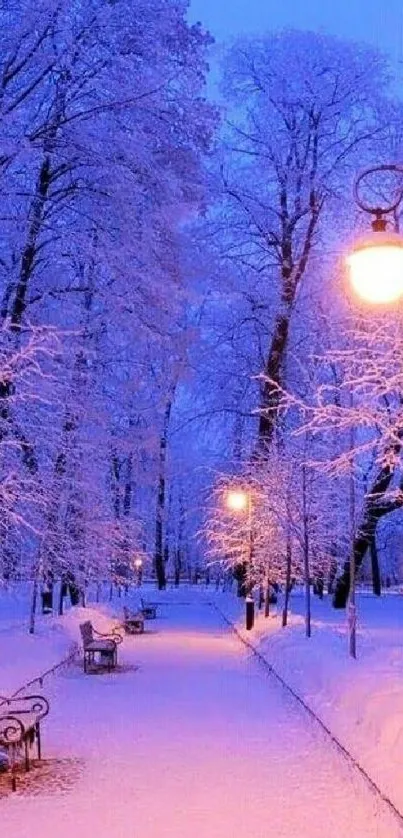 Snowy park at night with glowing streetlights and benches.