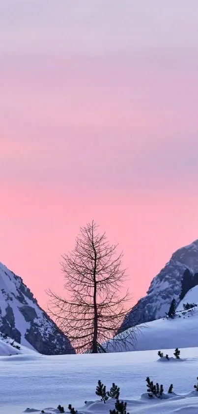 Serene mountain sunset with pink sky over snowy peaks.