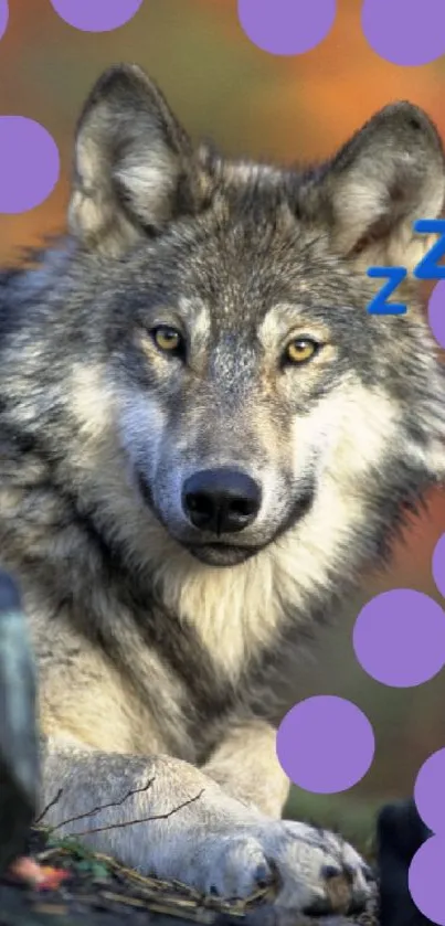 A calm wolf with whimsical purple dots in a nature setting.