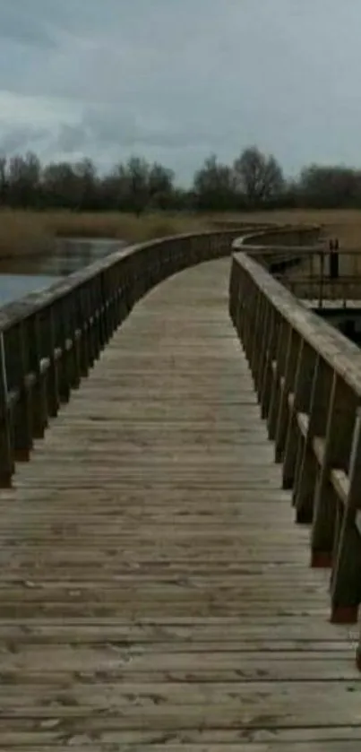 Tranquil wooden pathway under a cloudy sky.