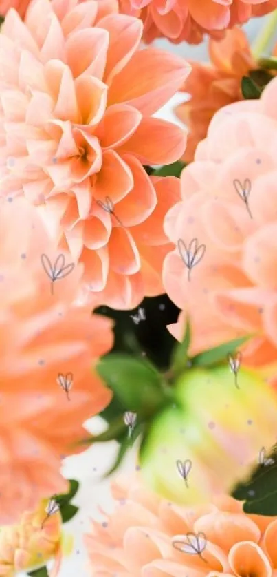 Peach dahlias floral mobile wallpaper with delicate design.