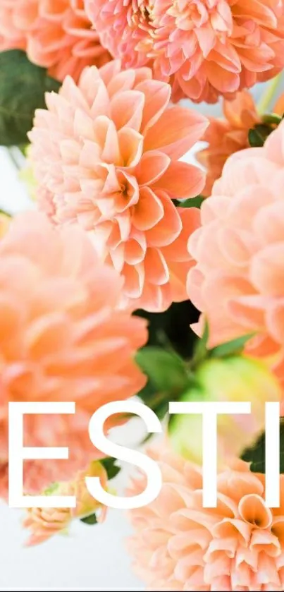 Peach dahlia blooms with 'Bestie' text on a floral background.