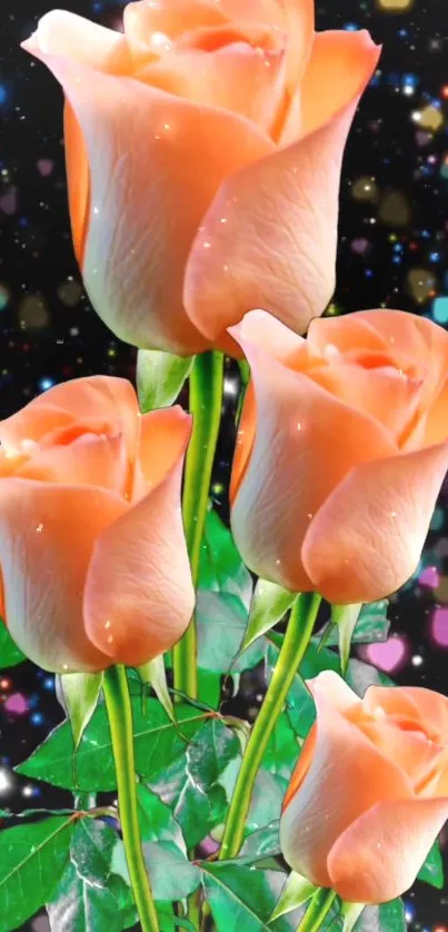 Mobile phone wallpaper with peach roses and a sparkling background.