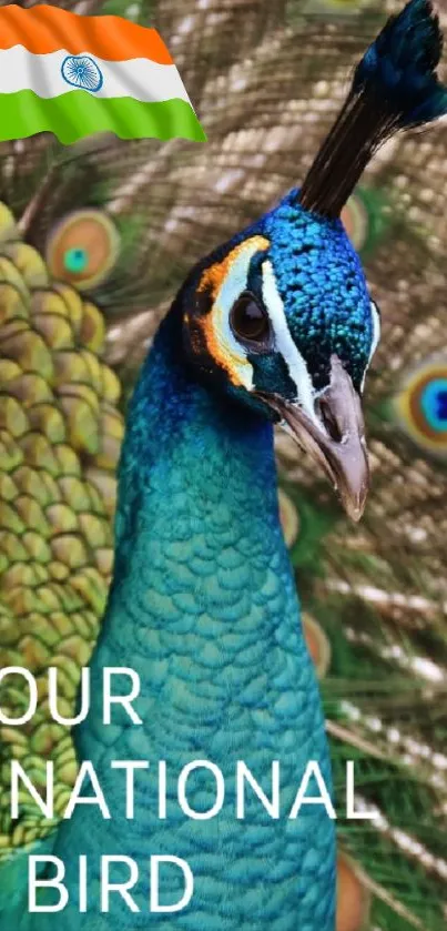 Peacock with Indian flag showcasing vibrant feathers.