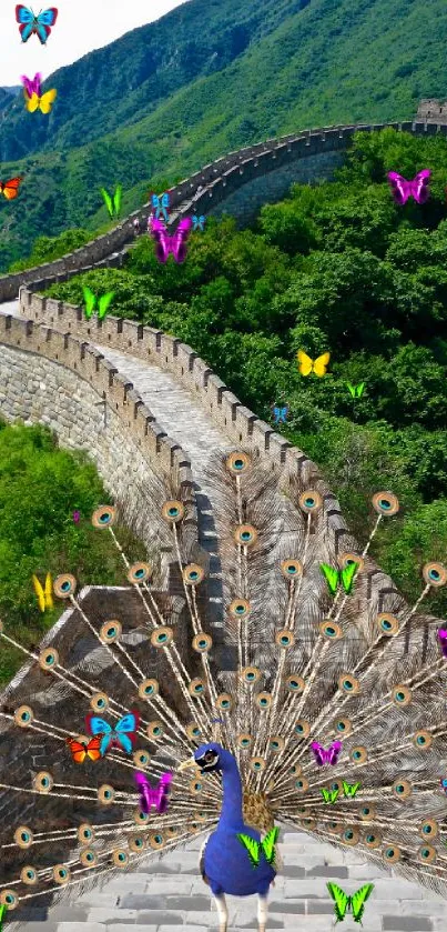 Peacock elegantly spreads its tail on the Great Wall surrounded by lush greens.