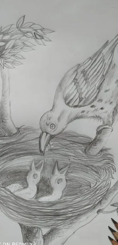 Pencil sketch of a bird feeding chicks in a nest.