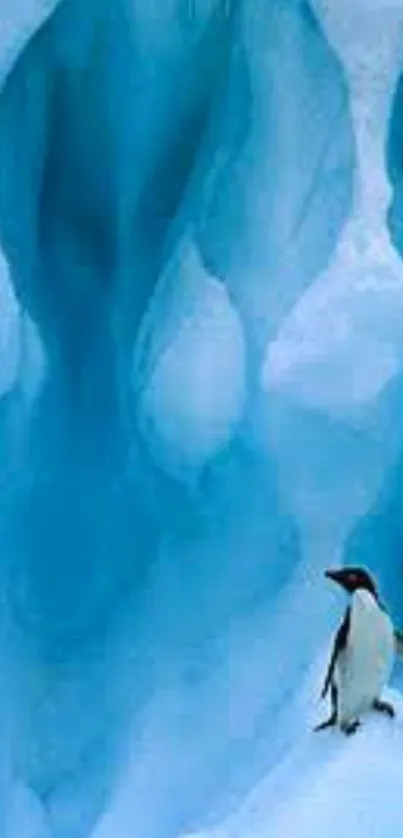 Penguin standing on icy blue terrain.