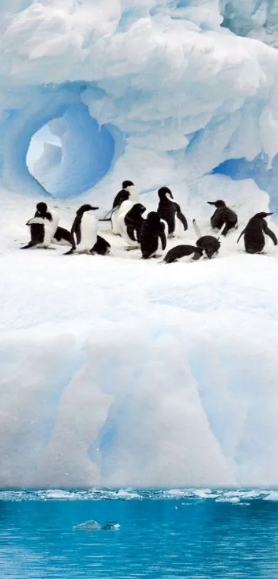 Penguins on ice-covered iceberg with blue waters.