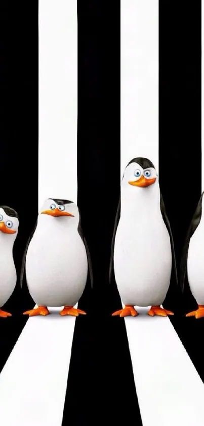 Cartoon penguins on black and white stripes.