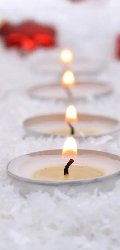 Petal Candle Fire Live Wallpaper