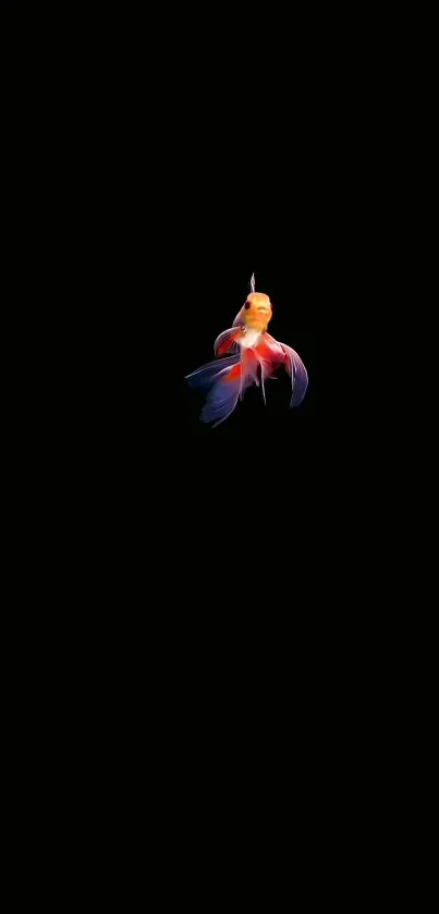 Petal Terrestrial Plant Beak Live Wallpaper