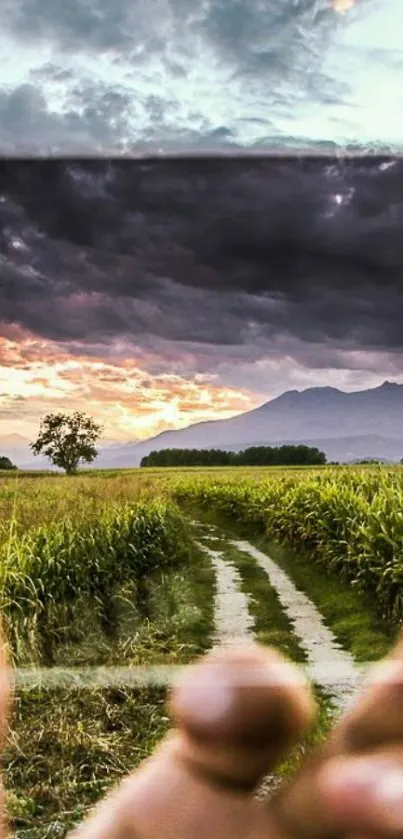 A phone frames a scenic view of a path through fields under a vibrant sky.