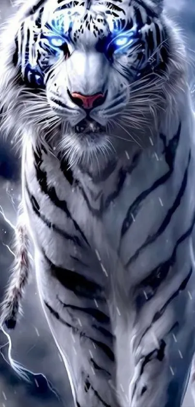 Photograph Bengal Tiger Siberian Tiger Live Wallpaper