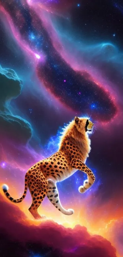 Jaguar  vs Cheetah  Live Wallpaper