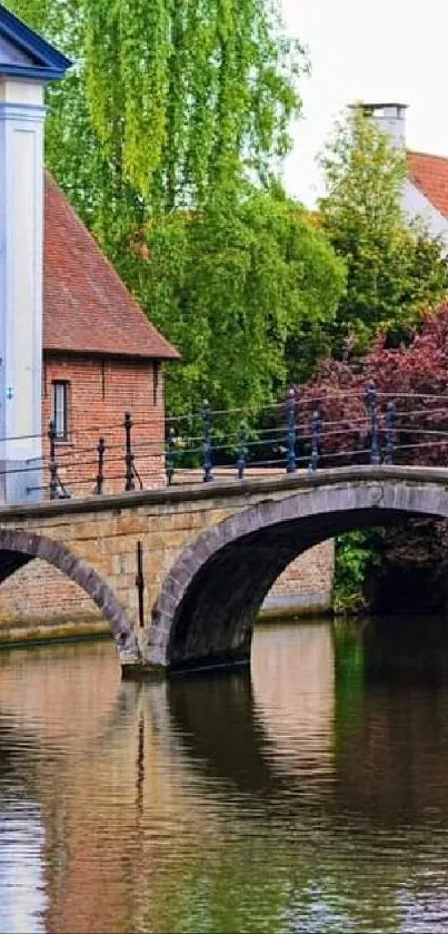 Charming canal bridge with lush greenery and serene waters, perfect for mobile wallpaper.