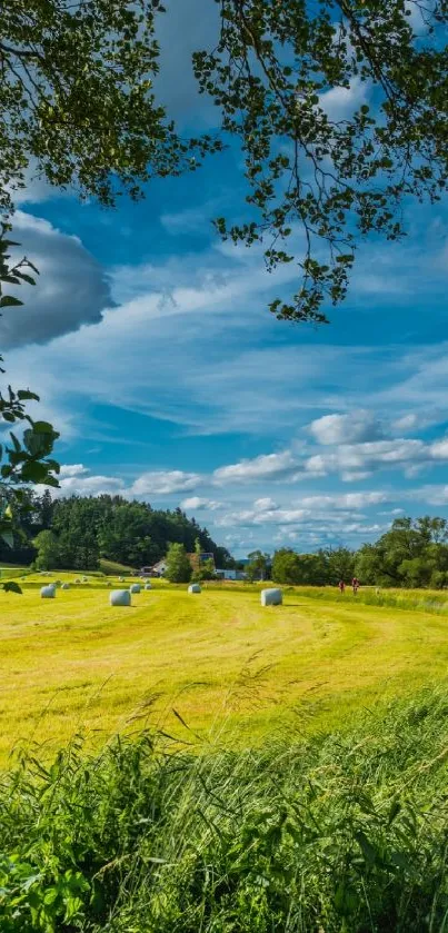 Rural summer landscape with blue sky and green fields, perfect for a tranquil mobile wallpaper.