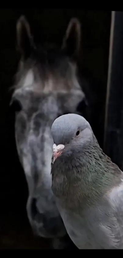 Pigeon with horse mobile wallpaper in dark tones.