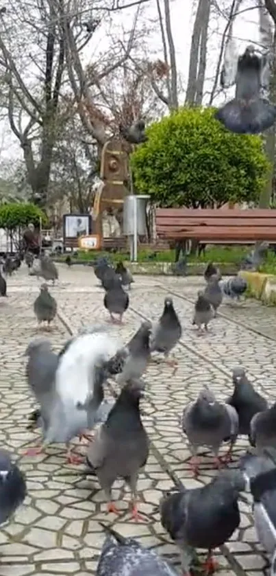 Lively pigeons on a cobblestone path in a tranquil park setting with benches and trees.