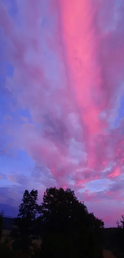 A stunning pink and blue sunset sky with silhouetted trees.