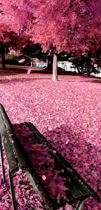 Pink autumn park with fallen leaves and a bench.