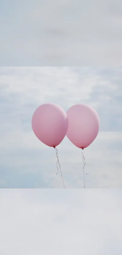 Two pink balloons floating against a cloudy sky.