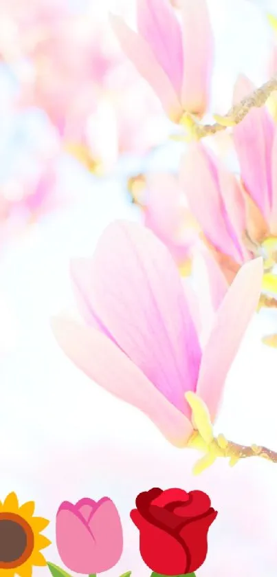 Close-up of pink flowers in full bloom.