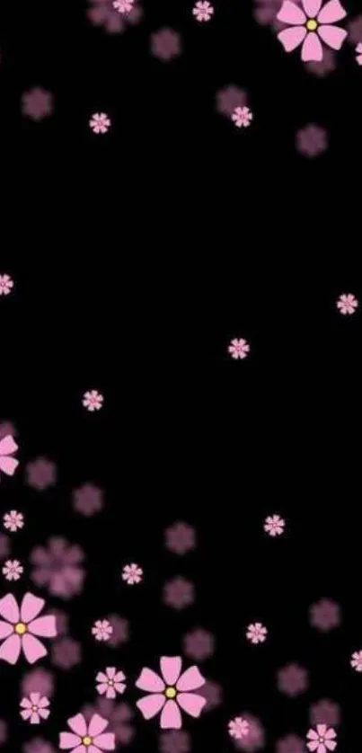 Delicate pink blossoms on a black background mobile wallpaper.