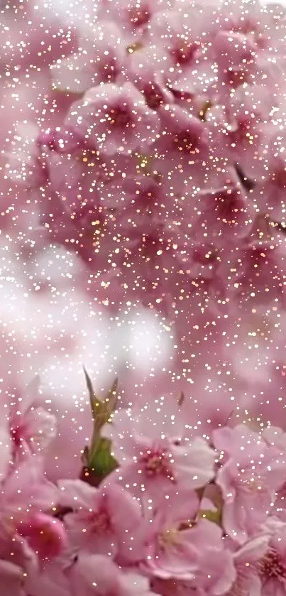 Pink cherry blossom wallpaper with snowflake overlay.