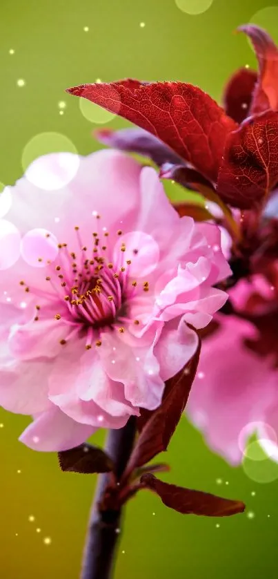 Elegant pink blossom on a vibrant green background