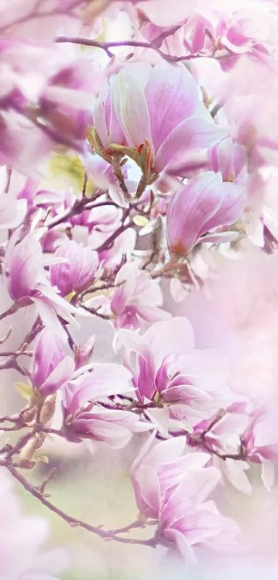 Elegant pink blossom wallpaper for smartphones.