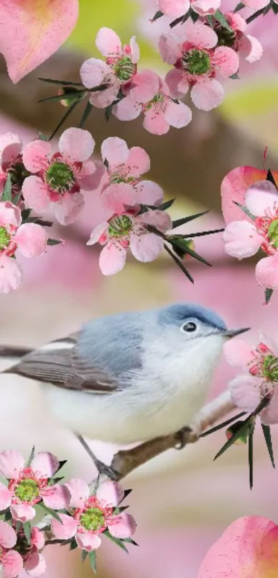 Blue bird perched among pink blossoms on a branch, perfect for mobile wallpaper.